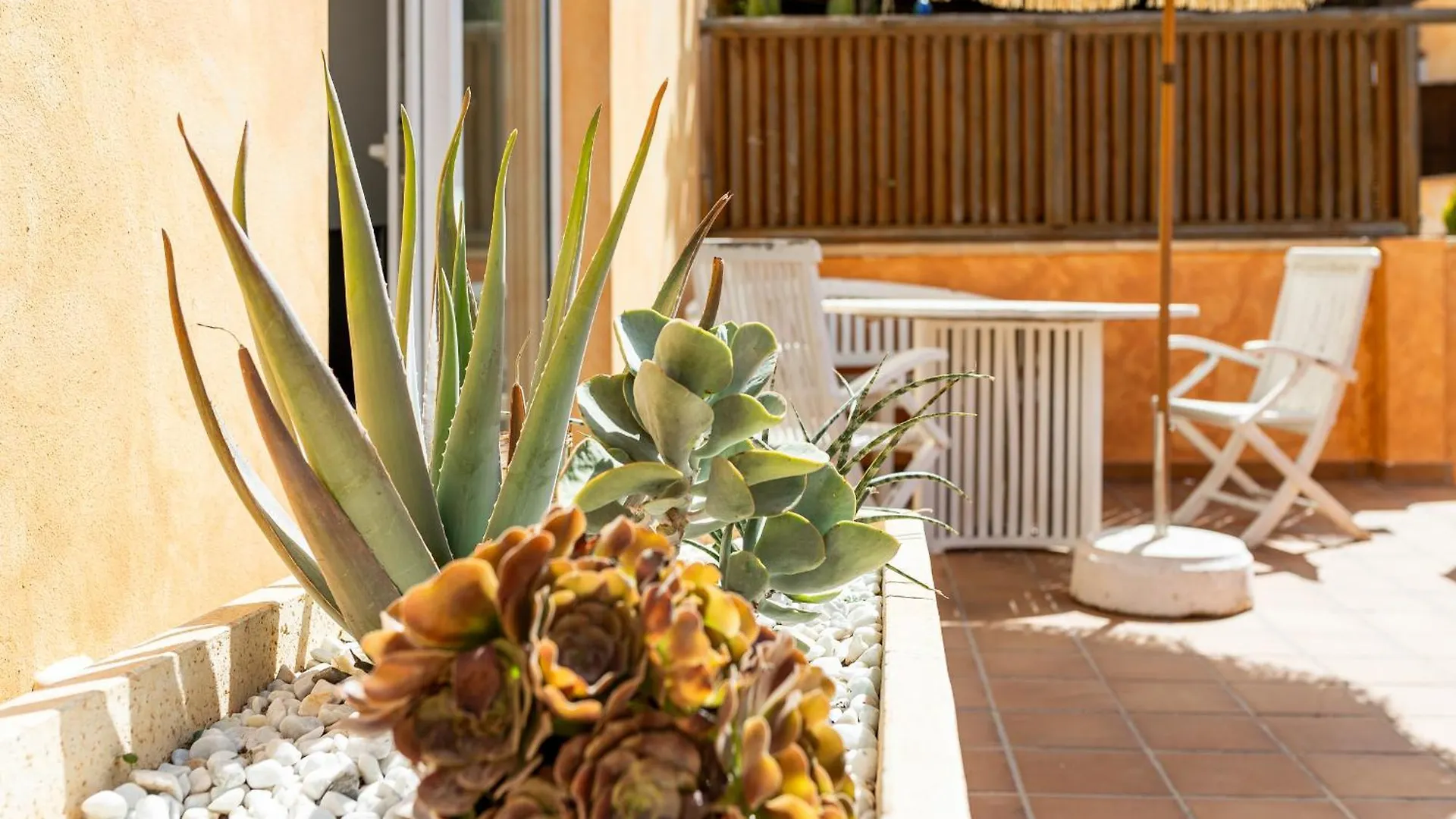 別荘 Palm Beach House コラレホ